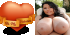 Sign Up